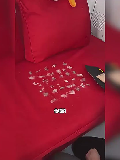 Pet Hair Removal Glove